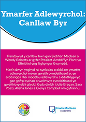 Canllaw Byr i Ymarfer Adlewyrchol (pdf)